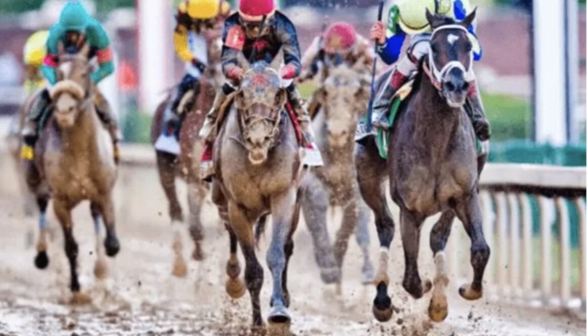 rockfire rockfire horse racing bet365 bet365