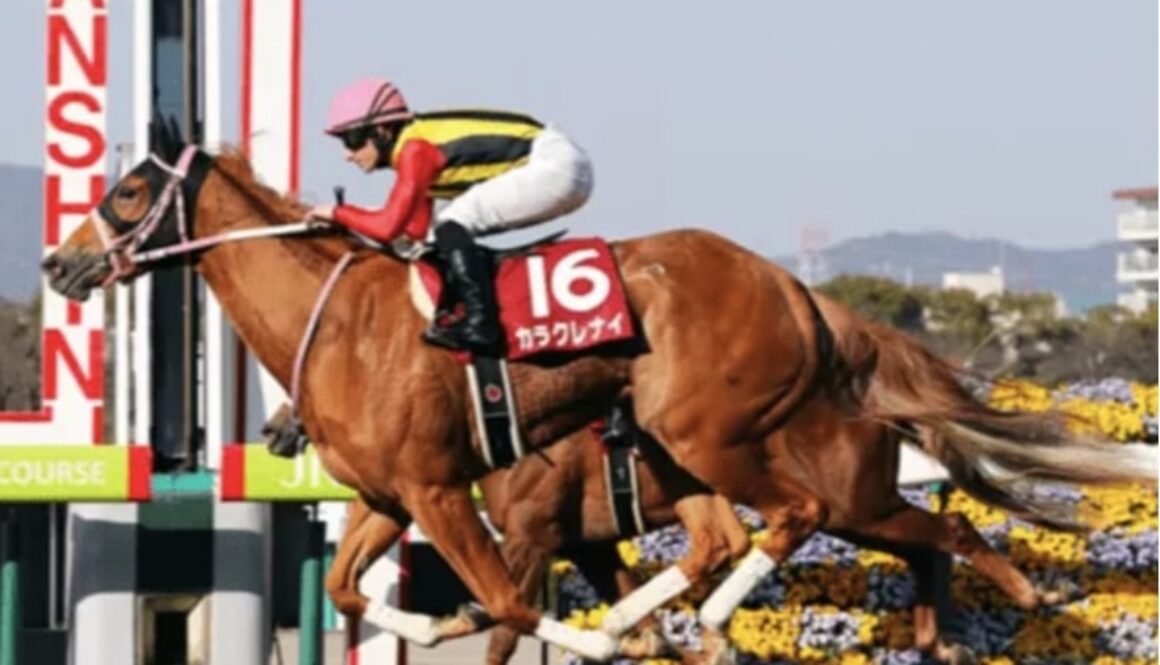 horse racing choocen port bet365