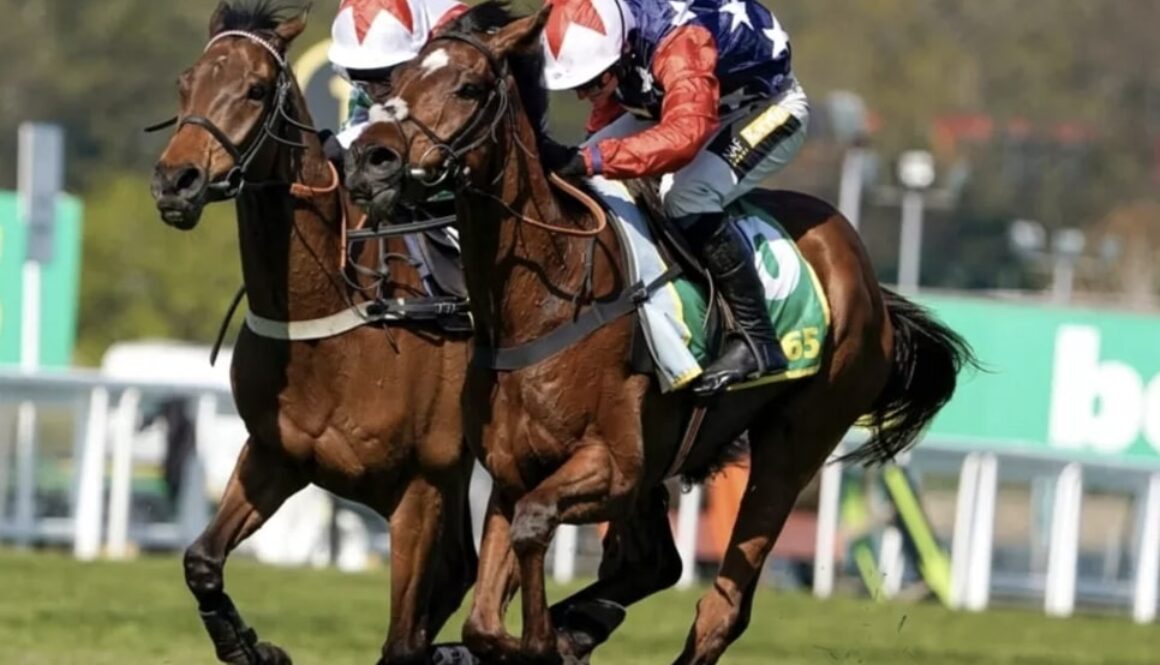horse racing mafia power bet365