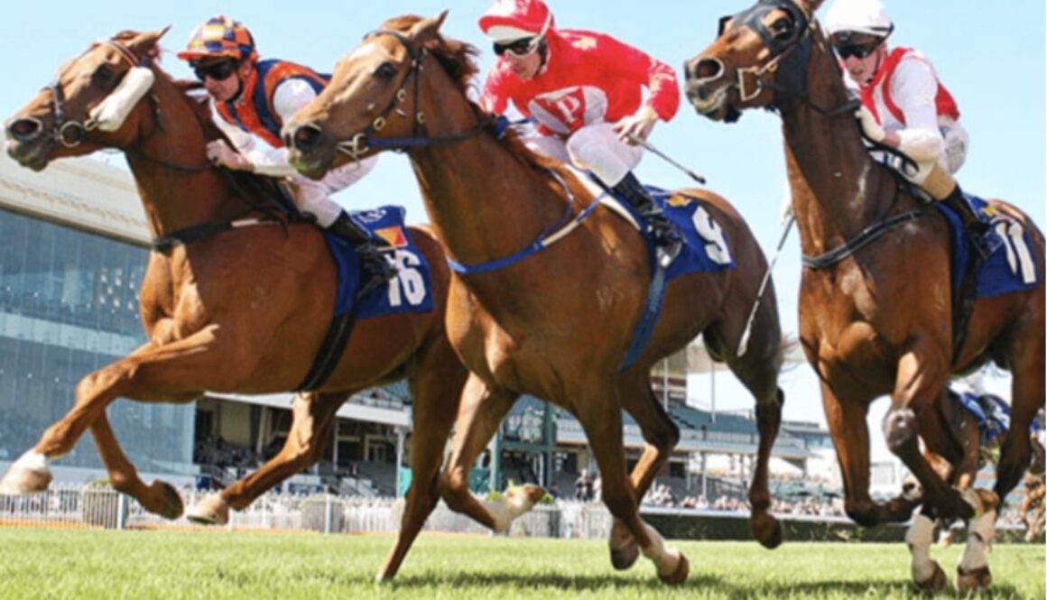 hurricane lane hurricane lane horse racing bet365 bet365