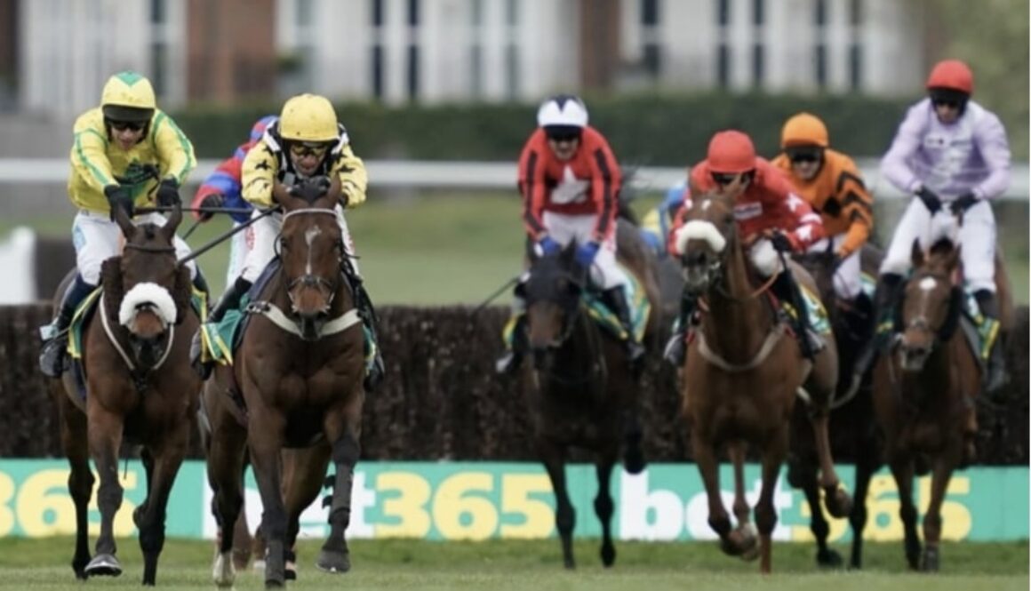 horse racing walbank bet365 (1)