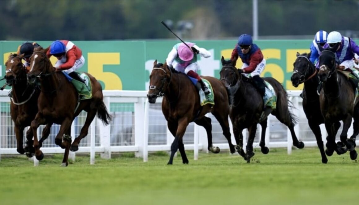 maktoob maktoob horse racing bet365 bet365
