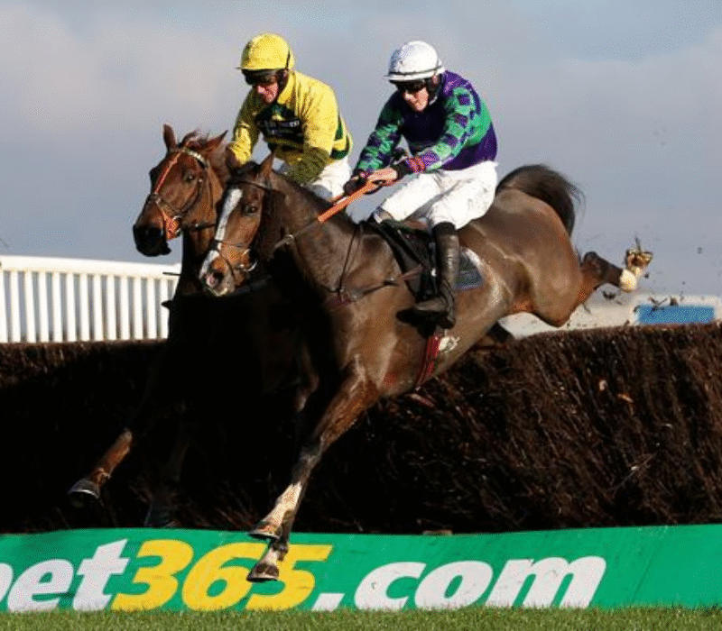 Horse Racing Brand New bet365