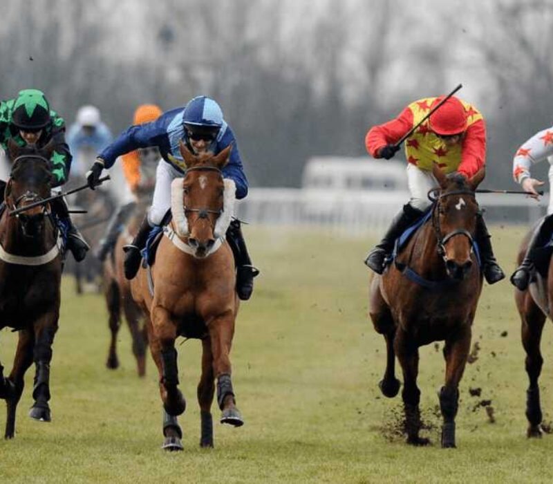 Caroline Bay Horse Racing bet365