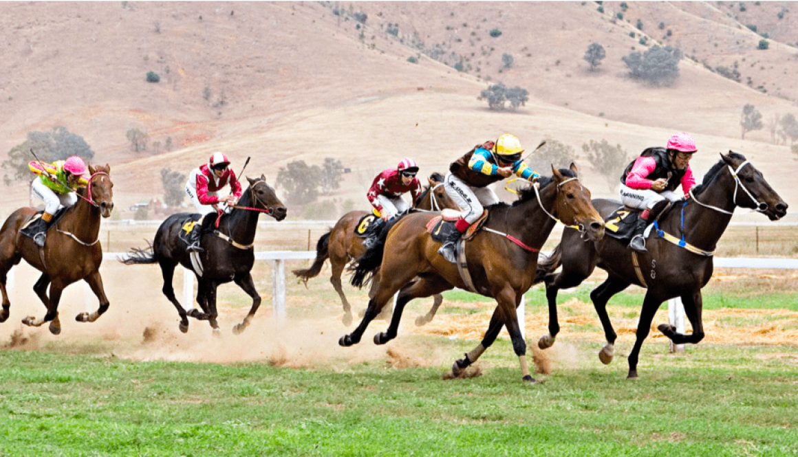 Kiko horse racing bet365