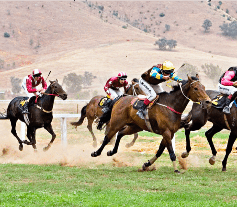 Kiko horse racing bet365