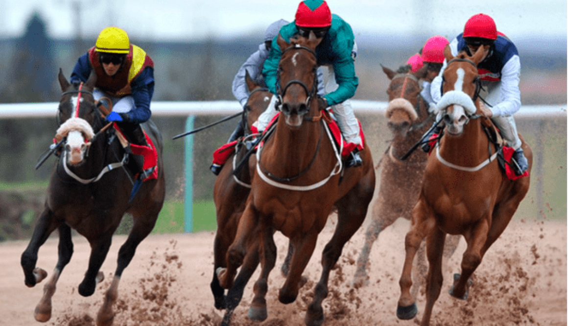 Skywriter horse racing bet365