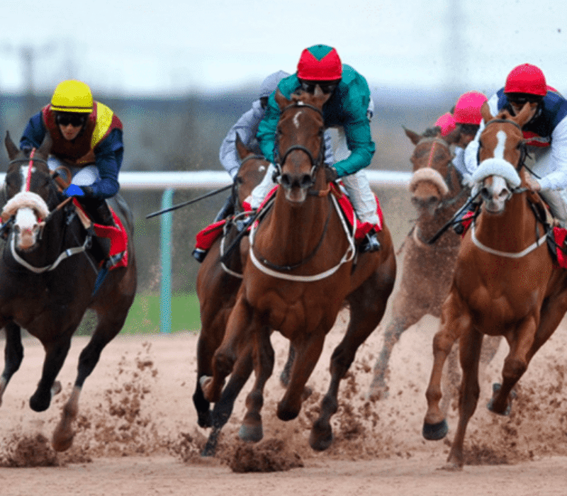 Skywriter horse racing bet365
