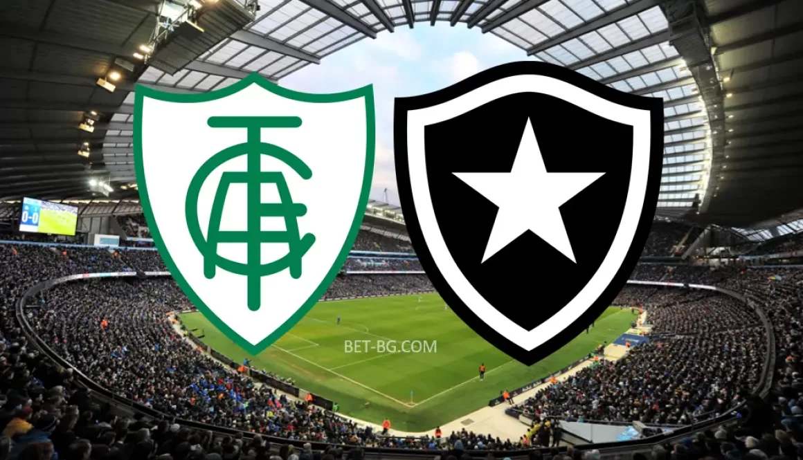 America MG - Botafogo bet365