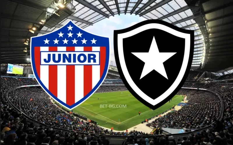 Junior - Botafogo bet365