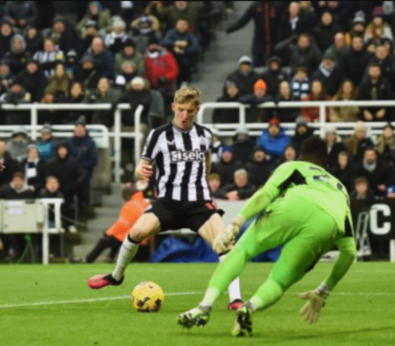 Newcastle United - Wimbledon bet365
